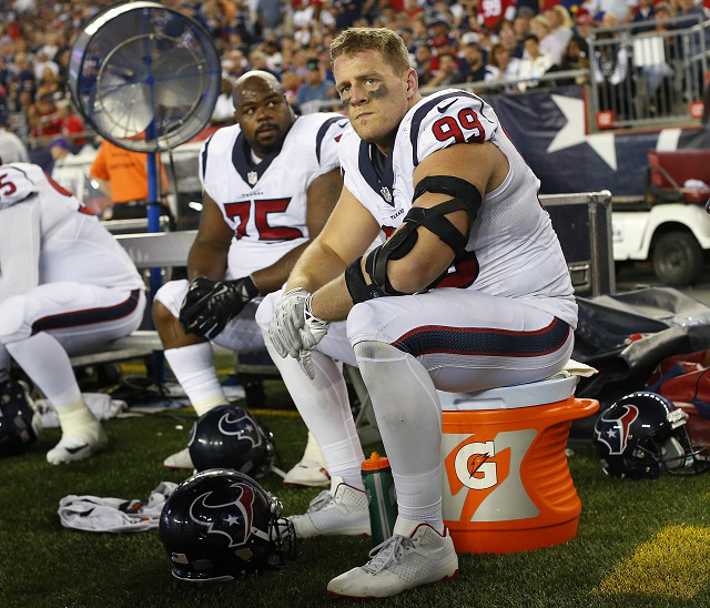 Vince Wilfork, J.J. Watt