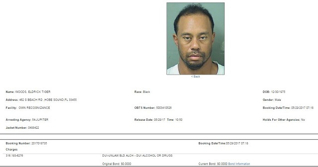 Tiger Woods arrest record