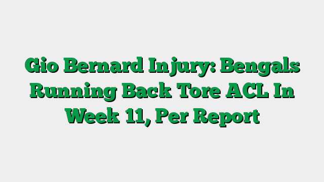 Gio Bernard Injury: Bengals Running Back Tore ACL In Week 11, Per Report