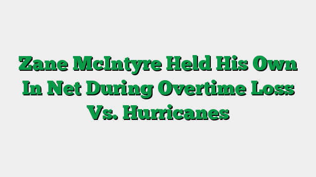 Zane McIntyre Held His Own In Net During Overtime Loss Vs. Hurricanes