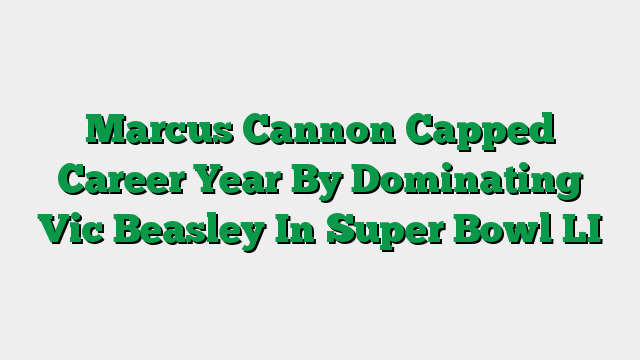 Marcus Cannon Capped Career Year By Dominating Vic Beasley In Super Bowl LI