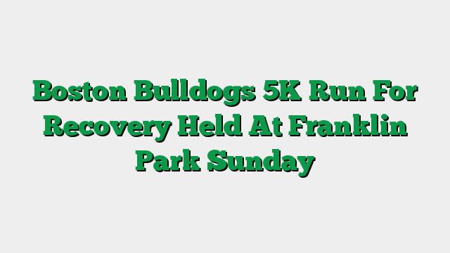 Boston Bulldogs 5K Run For Recovery Held At Franklin Park Sunday