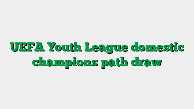 UEFA Youth League domestic champions path draw