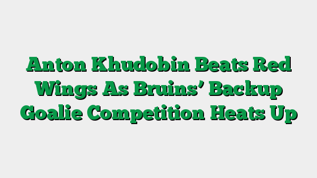Anton Khudobin Beats Red Wings As Bruins’ Backup Goalie Competition Heats Up
