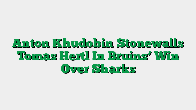 Anton Khudobin Stonewalls Tomas Hertl In Bruins’ Win Over Sharks