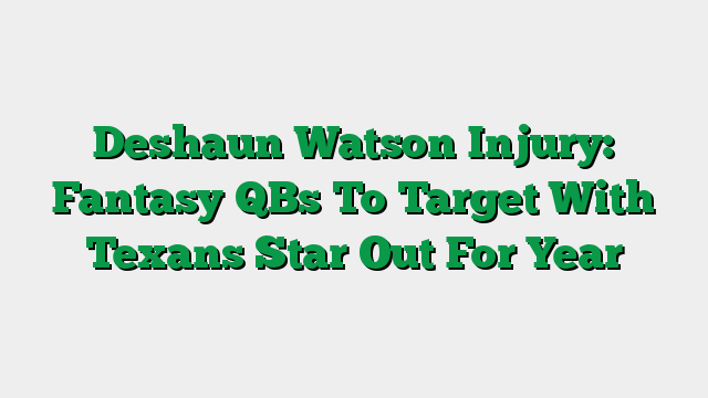 Deshaun Watson Injury: Fantasy QBs To Target With Texans Star Out For Year