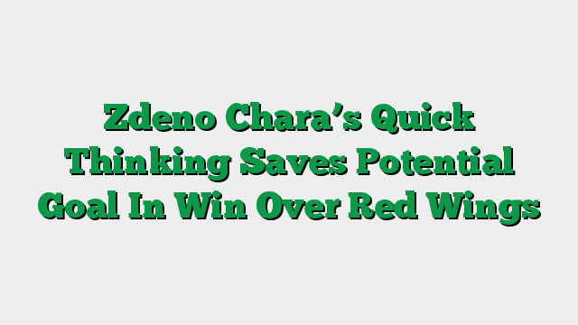 Zdeno Chara’s Quick Thinking Saves Potential Goal In Win Over Red Wings