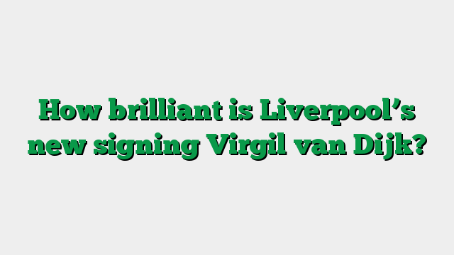 How brilliant is Liverpool’s new signing Virgil van Dijk?