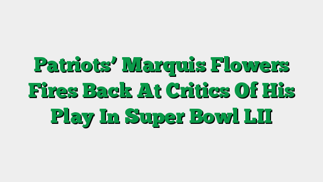Patriots’ Marquis Flowers Fires Back At Critics Of His Play In Super Bowl LII