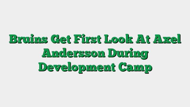 Bruins Get First Look At Axel Andersson During Development Camp
