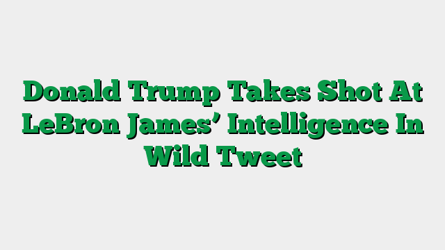 Donald Trump Takes Shot At LeBron James’ Intelligence In Wild Tweet