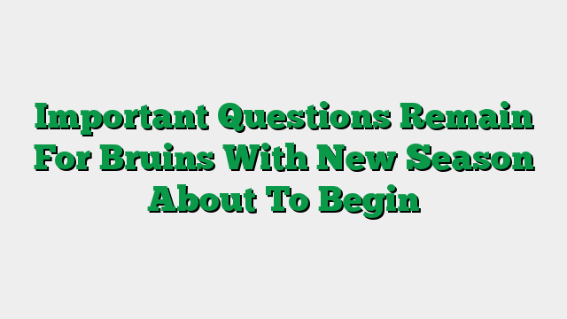 Important Questions Remain For Bruins With New Season About To Begin