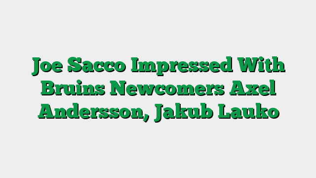 Joe Sacco Impressed With Bruins Newcomers Axel Andersson, Jakub Lauko