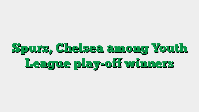 Spurs, Chelsea among Youth League play-off winners