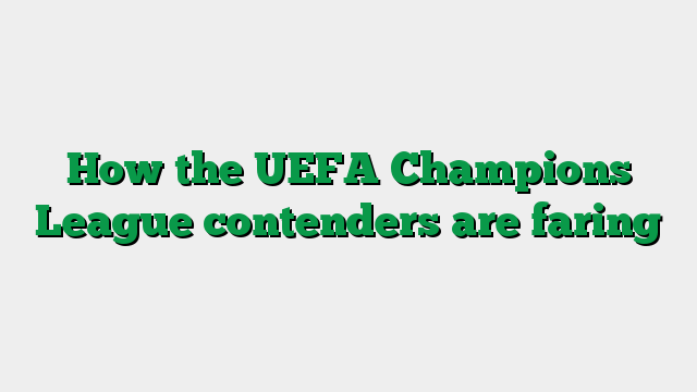 How the UEFA Champions League contenders are faring