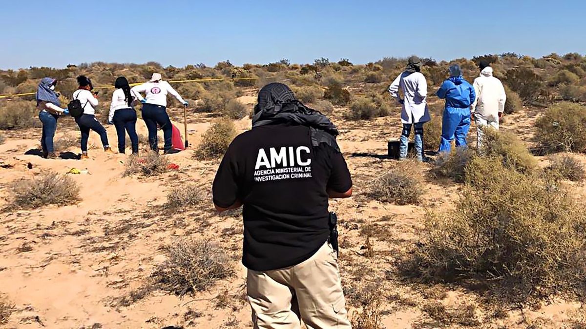 Mexican officials search a mass grave