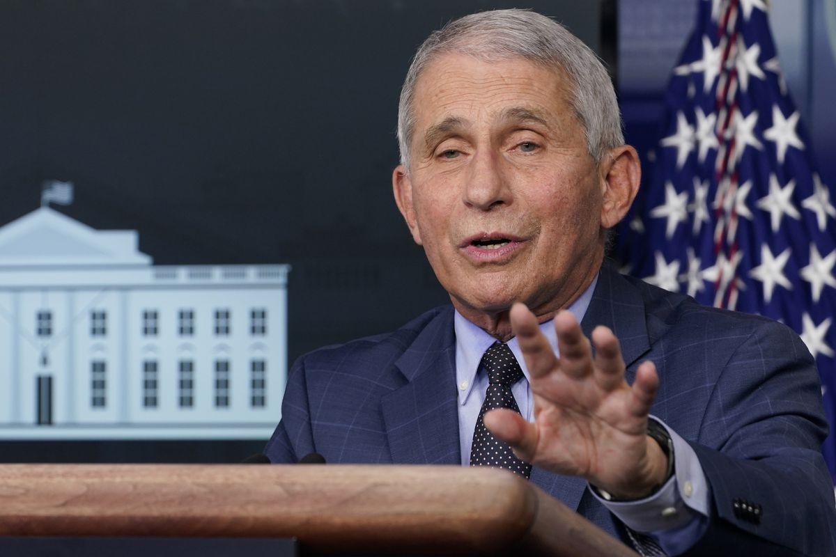 Dr. Anthony Fauci speaks during a news conference in Washington last week.