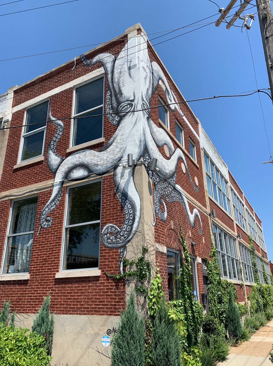 Chicago murals also include lighter fare, like this giant octopus by Dixon artist Nora Balayti on the Near West Side. The creature’s name? “Maud” — a nod to actress Maud Adams, who costarred with Roger Moore in the 1983 James Bond movie “Octopussy.”